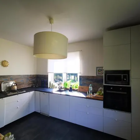 Дом отдыха Dom W Lesie Лукта